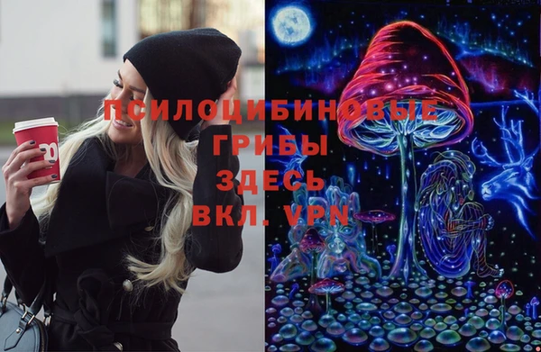 бутират Алзамай