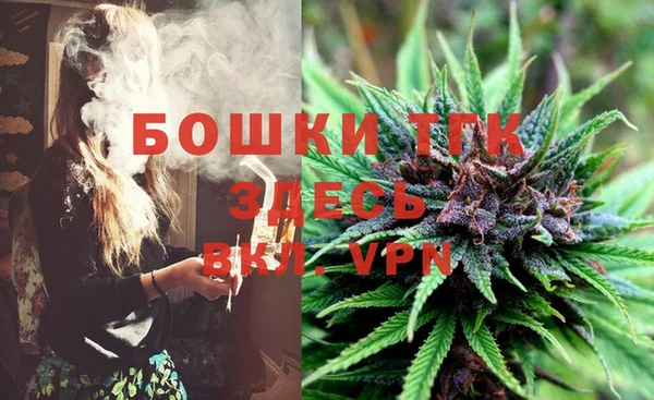 молекула духа Алексеевка