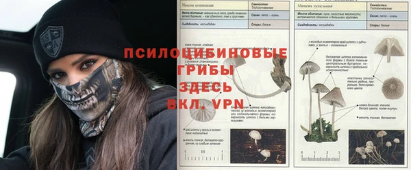 бутират Алзамай